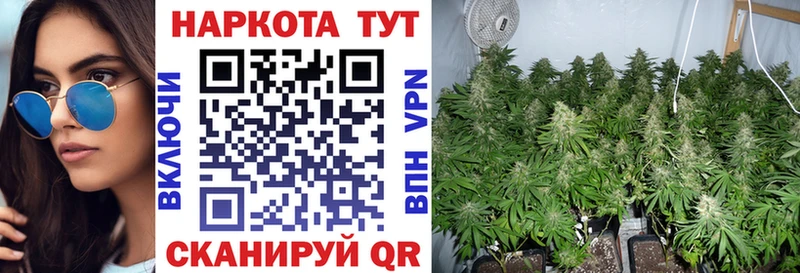 Где найти наркотики Южно-Сухокумск Марихуана  СК  Кокаин  Codein  Мефедрон  ГАШ 