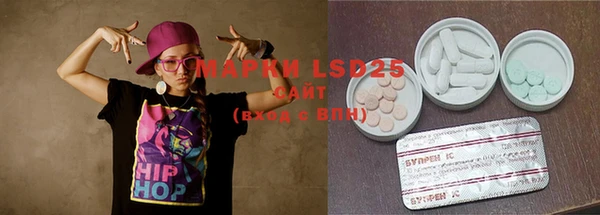 ГАЛЛЮЦИНОГЕННЫЕ ГРИБЫ Михайлов