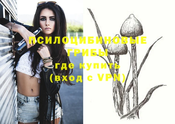 ALPHA-PVP Медногорск