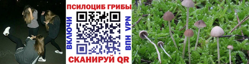 продажа наркотиков  Южно-Сухокумск  Галлюциногенные грибы ЛСД 
